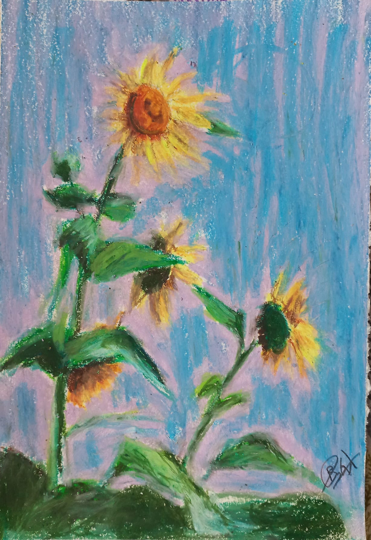 Sunflowers - Oil Pastels 1